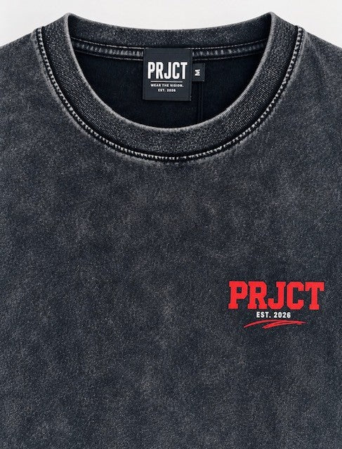 PRJCT No Days Off Snow Wash Oversized Tee